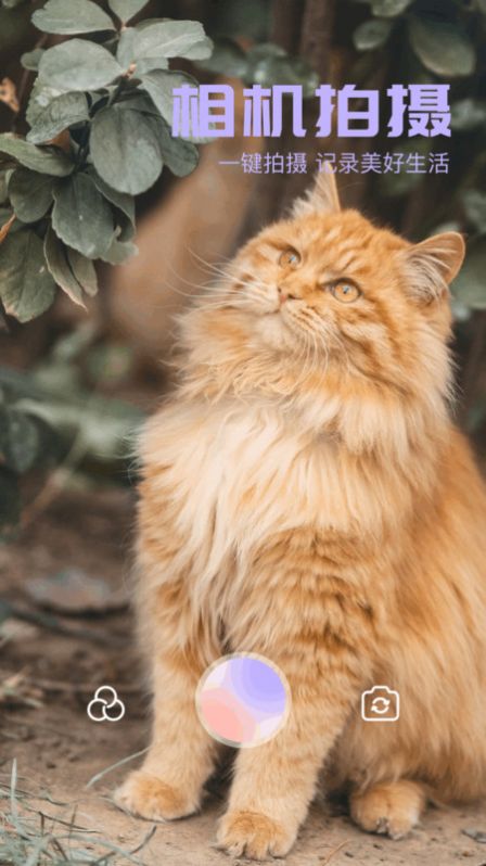 我的口型相机软件官方下载 v1.1截图