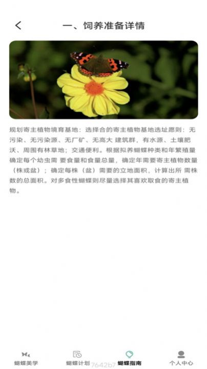 蝴蝶乐刷软件官方下载 v1.0.0截图