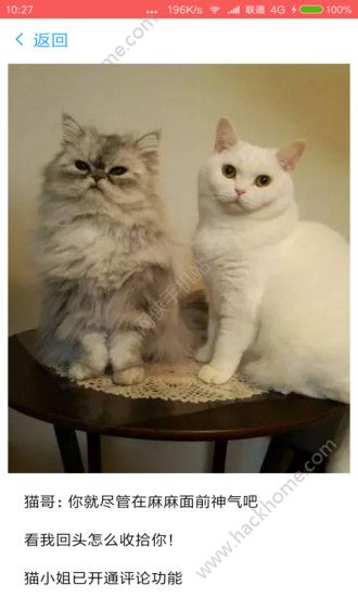 甜果资讯官方app下载手机版 v1.0.0.3截图