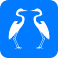 白鹭转app手机版 v1.0.0